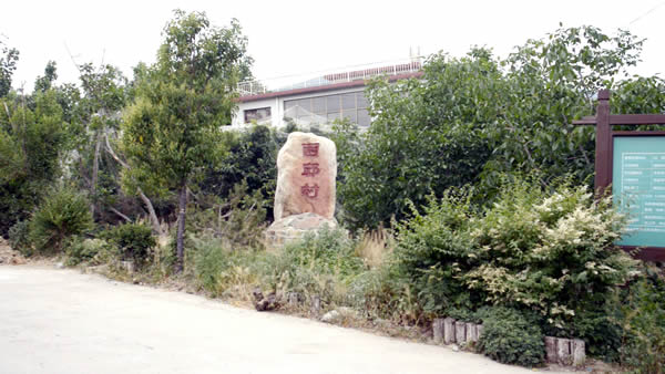 西邱村600