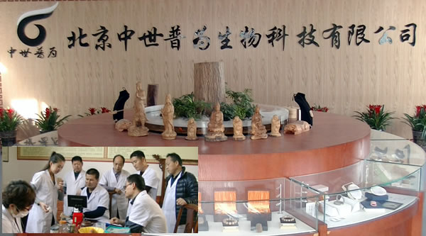 降龙木B