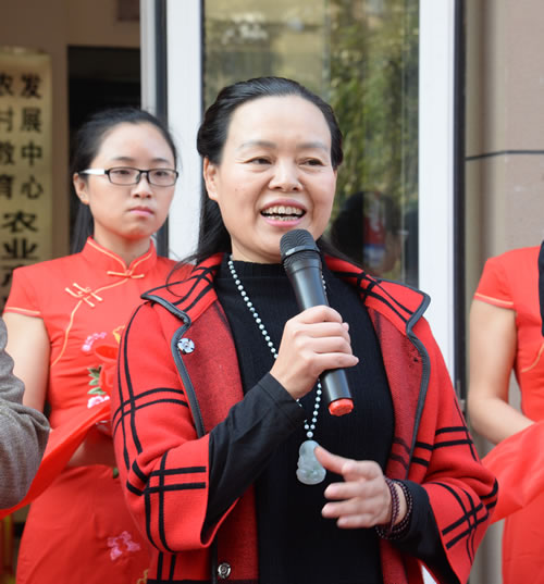 谢超500