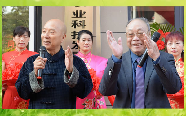 拼接2A