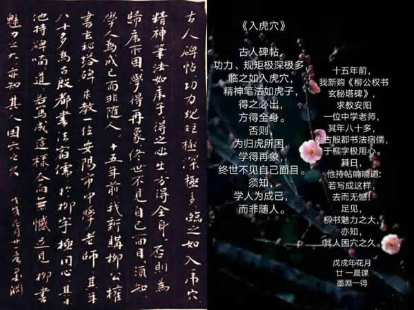 入虎穴600