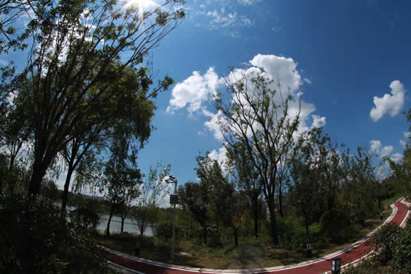 imgapp (11)600.jpg