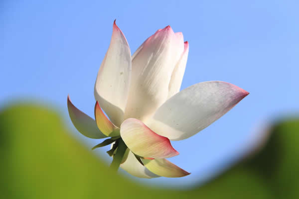 imgapp (8)600.jpg