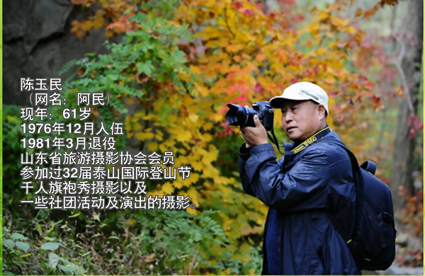 简历600