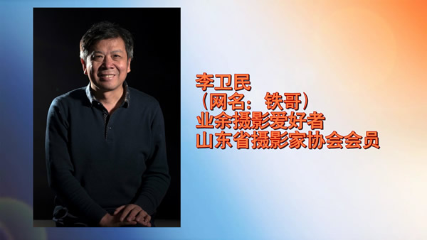简历600
