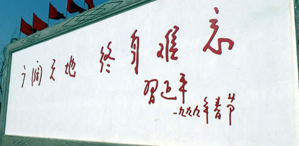 习大大600