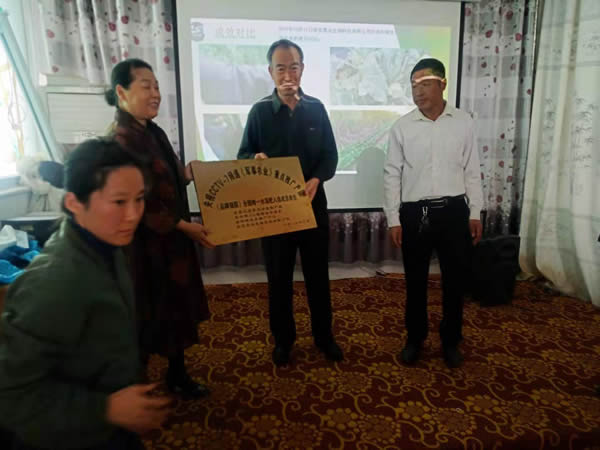 图片3-600