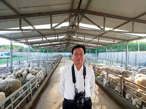 图片3