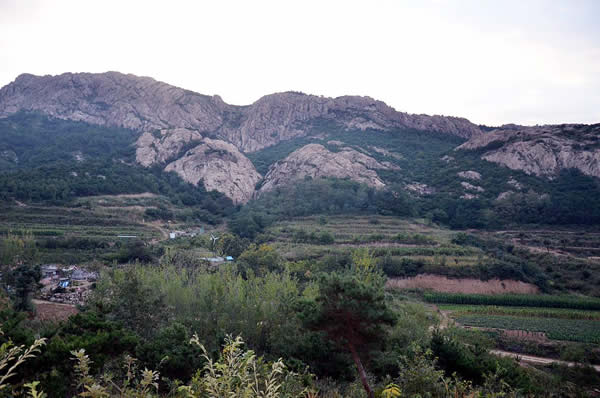 全景600