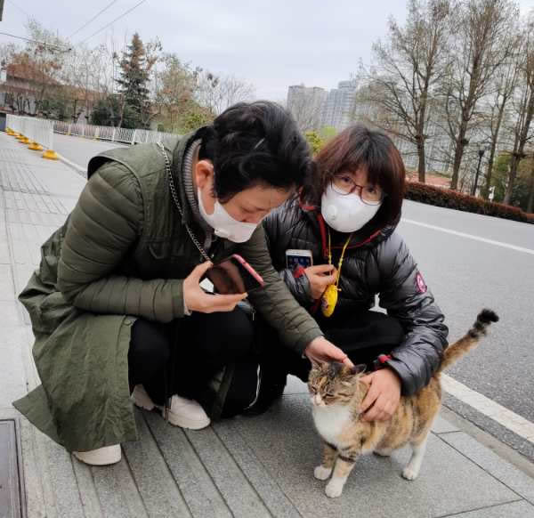 xie谢