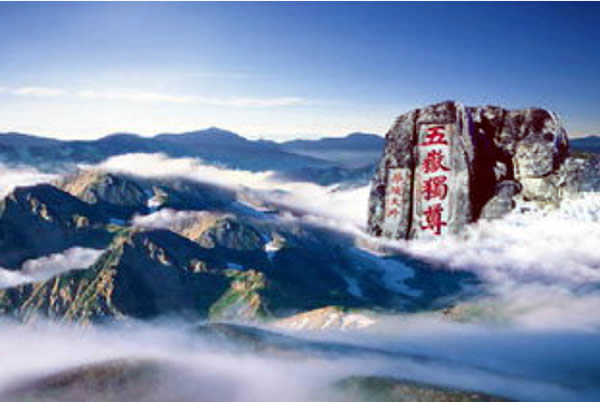 泰山600