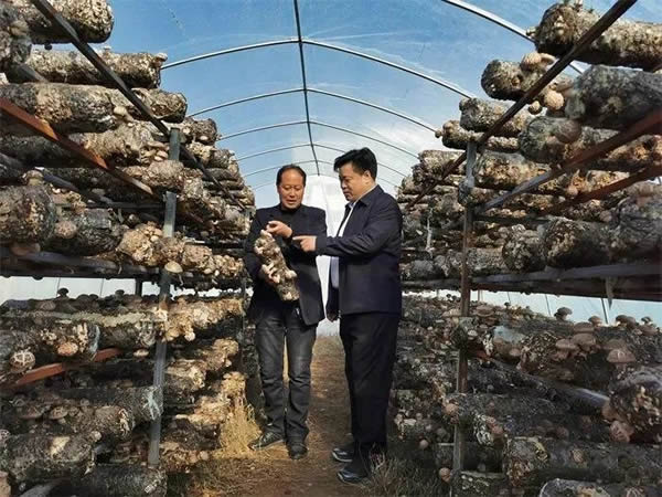秦洁
