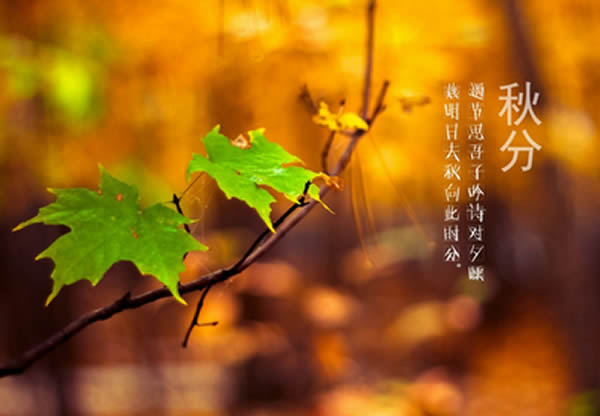 秋分-600
