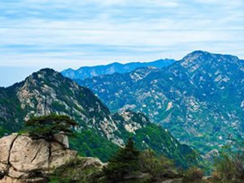 沂蒙山500