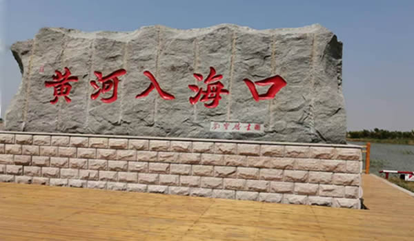 3 3