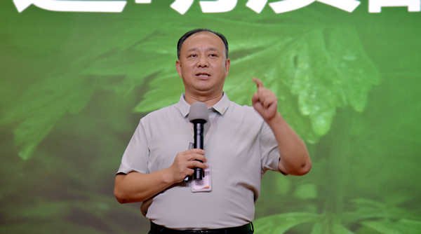 刘艳合600